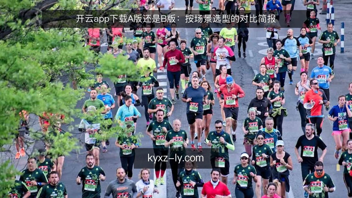 开云app下载A版还是B版：按场景选型的对比简报