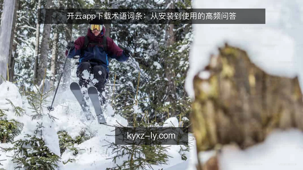 开云app下载术语词条：从安装到使用的高频问答