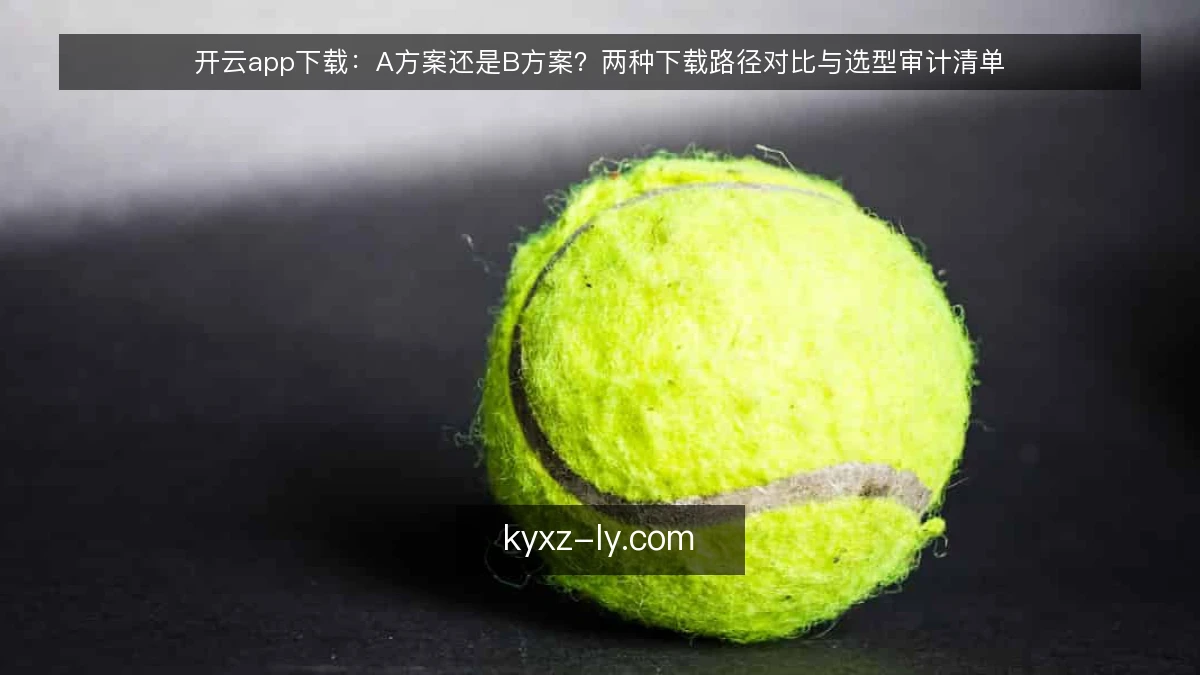 开云app下载：A方案还是B方案？两种下载路径对比与选型审计清单